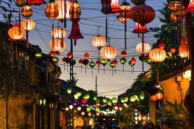 Hoi An: 4-Day Culture, History & Nature Tour