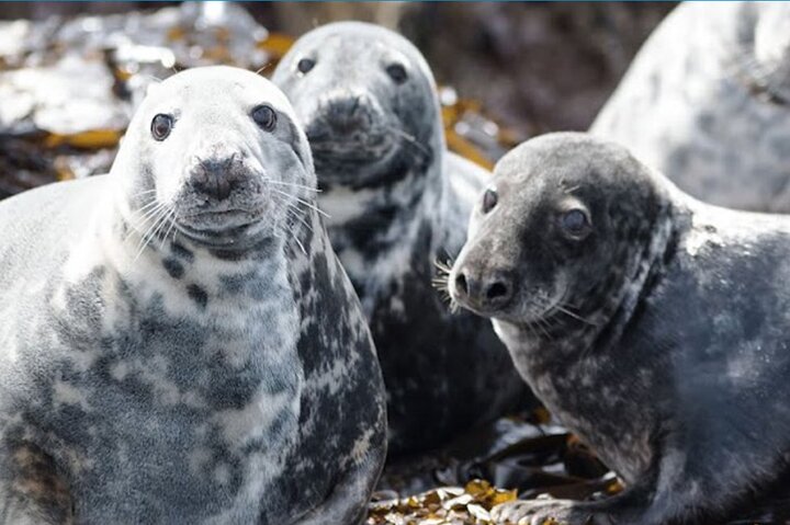 Experience Image img4