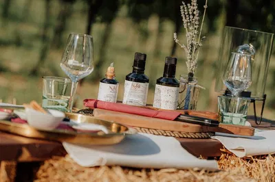 Unveiling Istria's Liquid Gold: Wine, Brandy & Vinegar Tasting Journey