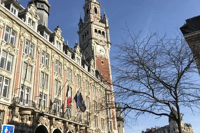 Unveiling Lille's Charm: A Private Historic Walking Tour