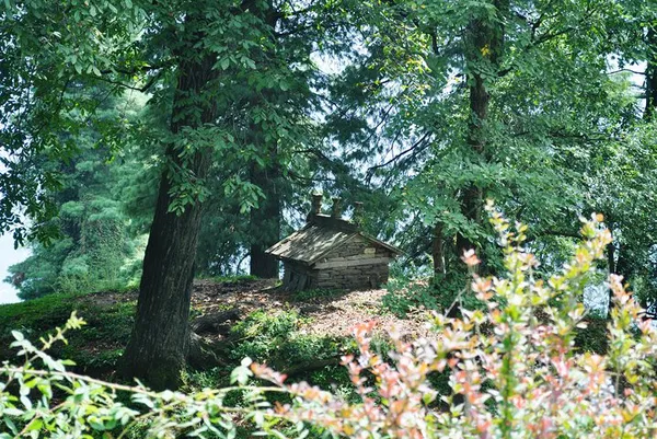 Discover Authentic Manali: A Village Culture & Nature Immersion