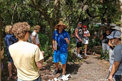St. Pete Jungle Prada History Tour: Native Culture