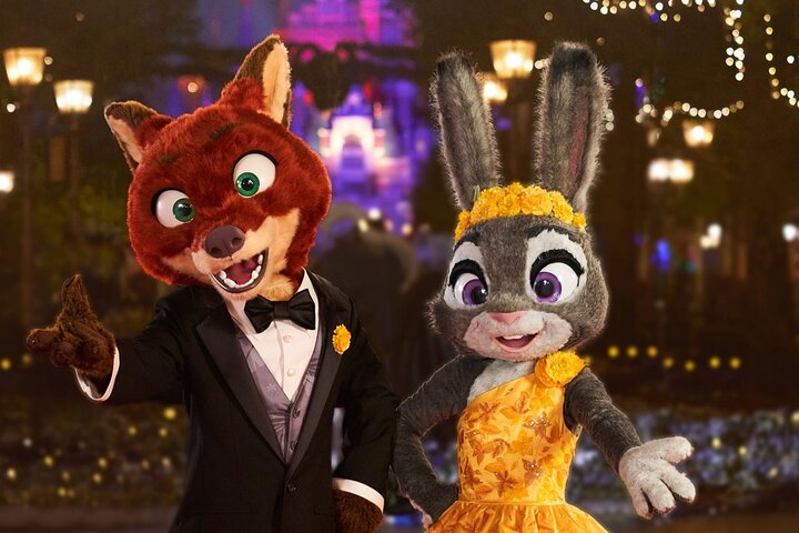 Experience Image img1