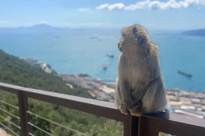 img0