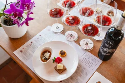Uncork Chianti: A Gourmet Brunello Vertical Tasting Journey