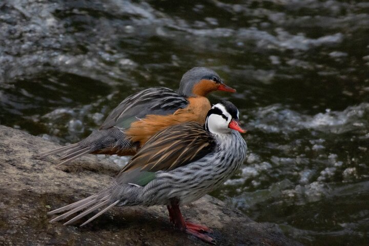 Experience Image img4