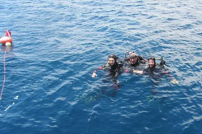 Image 3