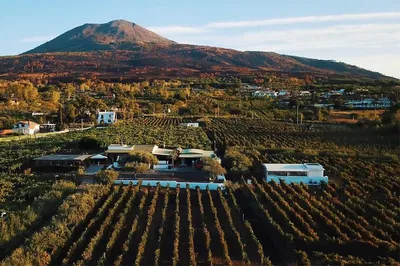 Vesuvius Wine & Lunch: An Amalfi Coast Culinary Escape