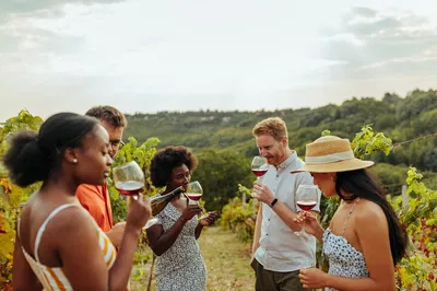 Yarra Valley: Exclusive Wine Tour from Melbourne