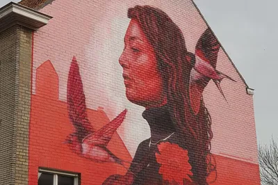 Image 3