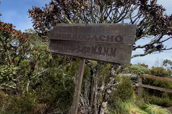 img0