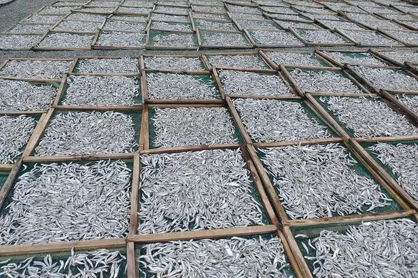 Cat Tien National Park: A 2-Day Adventure from Dalat/Saigon