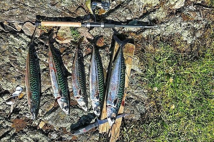 Experience Image img4