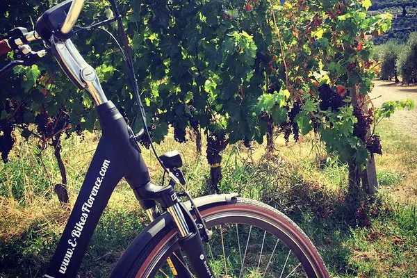 E-Bike Florence Vineyard Tour: Ride, Wine & Views!