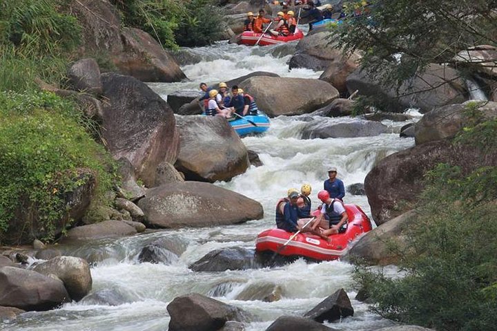 Phuket Jungle Adventure: Rafting, ATV, Fly Fox & Monkey Cave