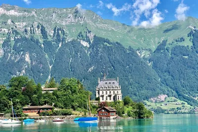 Unforgettable Swiss Alps Panorama Tour: A Zurich Adventure!