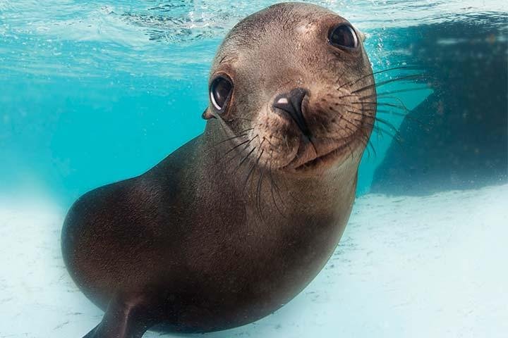 Experience Image img4