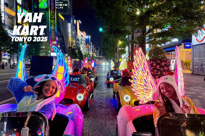 Tokyo Go Kart Tour: Akihabara Adventure with Guide