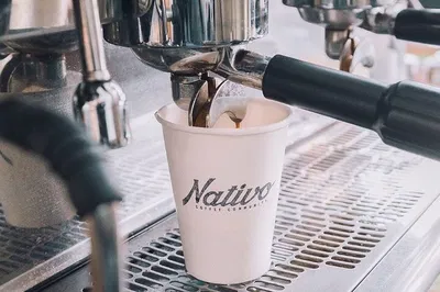 Tijuana Coffee Adventure: A Cross-Border Cafe Crawl