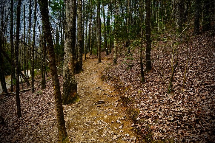 Experience Image img4