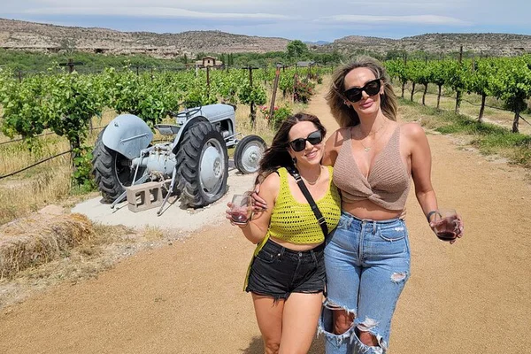 Sedona's Wicked Vine: Wine, Views & VIP Treatment!