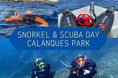 Explore Marseille's Underwater Wonders: Snorkeling & Diving Adventure in Calanques National Park