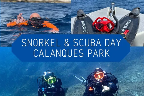 Explore Marseille's Underwater Wonders: Snorkeling & Diving Adventure in Calanques National Park