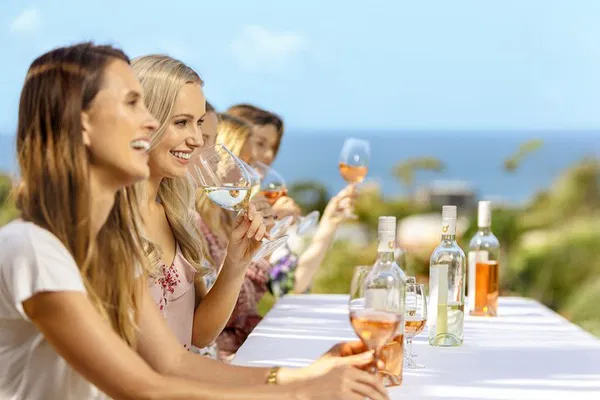 Waiheke Boutique Wine Tour: Taste 15 Island Wines!