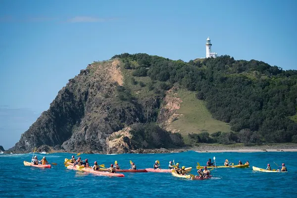 Glide with Dolphins: Byron Bay Kayak Adventure