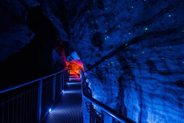 Auckland Adventure: Explore Ruakuri Cave & Hamilton Gardens!