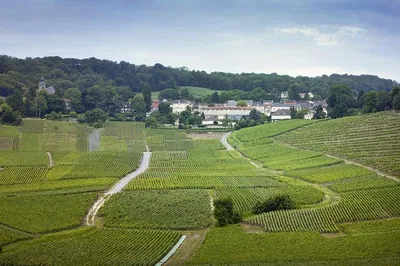 Indulge in Luxury: Private Champagne Tour from Paris