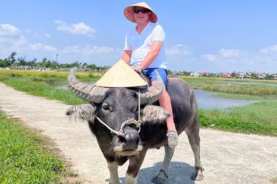 Hoi An Countryside Tour: Basket Boat & Water Buffalo Ride