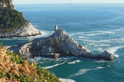 Unveiling Portovenere: Ancient Olives, Roman Secrets & Coastal Walks