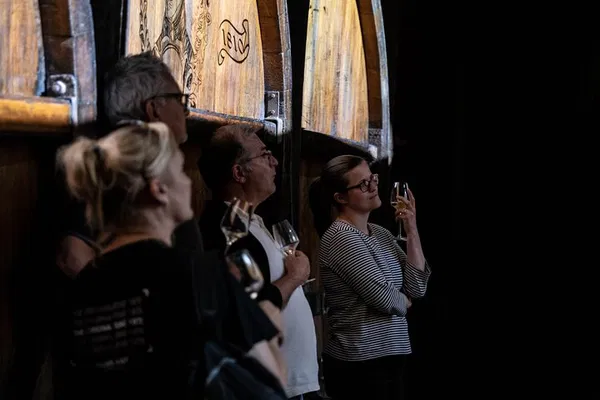 Alsace Wine Tour: History, Tasting & Cellar Visit