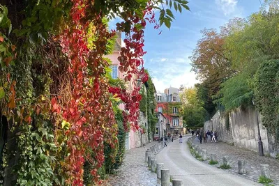 Montmartre's Bohemian Rhapsody: A Semi-Private Parisian Escapade