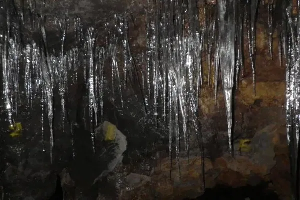 Unearth Mt. Fuji's Secrets: Ice Cave & Aokigahara Forest Adventure