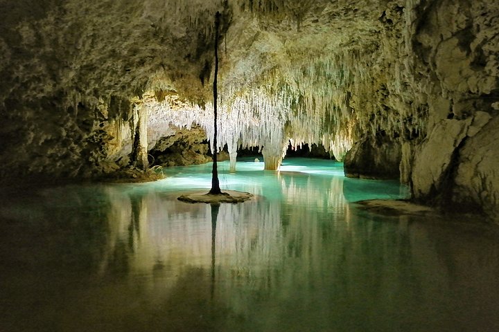 Uncover Yucatán's Mystical Caves: A Cenote Exploration!