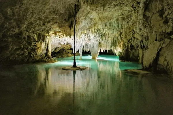 Uncover Yucatán's Mystical Caves: A Cenote Exploration!