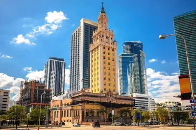 Unveiling Miami's Magic: A Private Downtown Walking Adventure