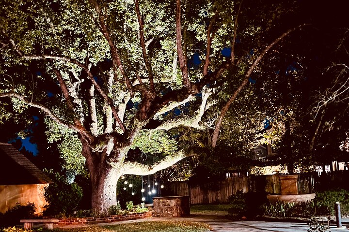 Experience Image img3