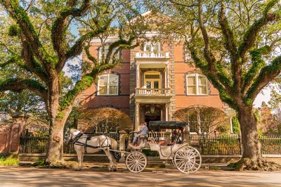 Charleston's Charm: Private Horse-Drawn Carriage Tour