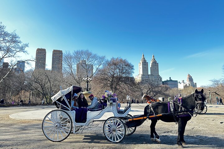 Central Park's Timeless Elegance: Horse-Drawn Carriage Tours