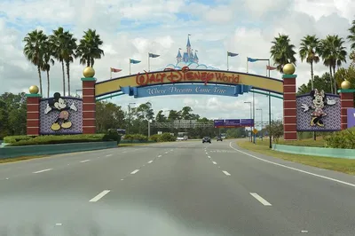 Stress-Free Florida Transfers: Orlando to South Florida with Private Chauffeur
