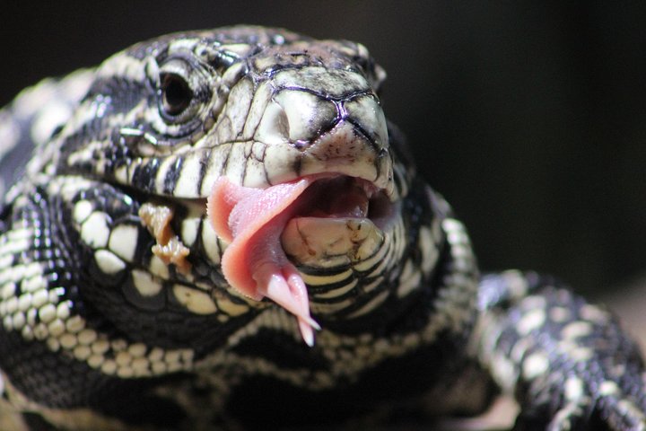 Experience Image img2