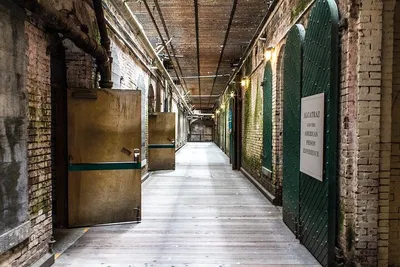 Unlocking San Francisco's Icons: Alcatraz & Golden Gate Bay Cruise Combo!