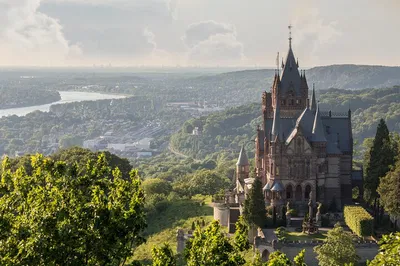 Stress-Free Bruges to Bonn Transfer: Your Door-to-Door English-Speaking Chauffeur