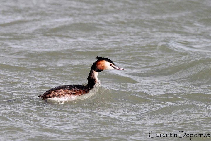 Experience Image img1