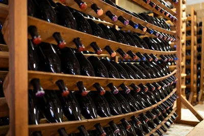 Taste Sicily: Wine Among Ancient Carob Trees