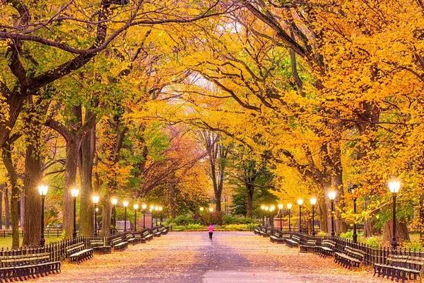Central Park's Secrets: An Emmy-Nominated Audio Adventure