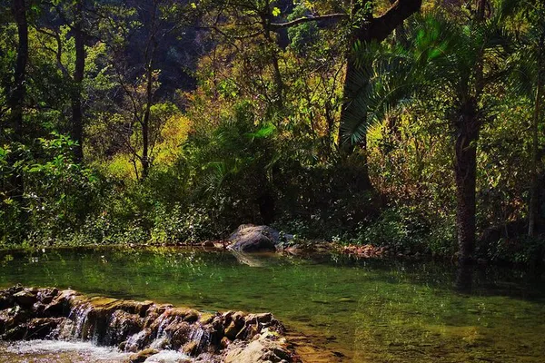 Himalayan Treks near Rishikesh from Delhi